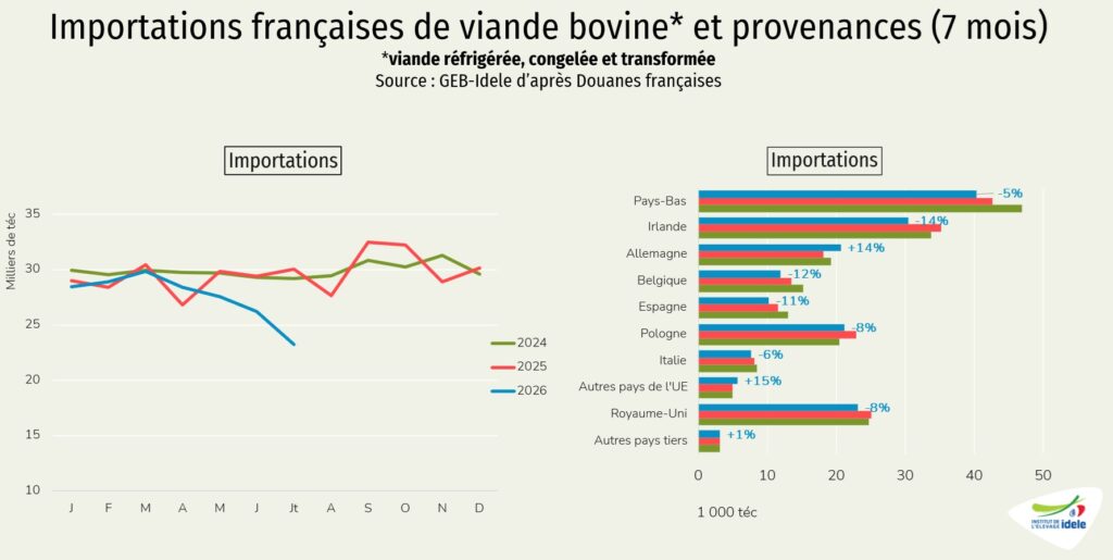 Importation-de-viandes-bovines-en-France-jusqu-en-juillet-2026