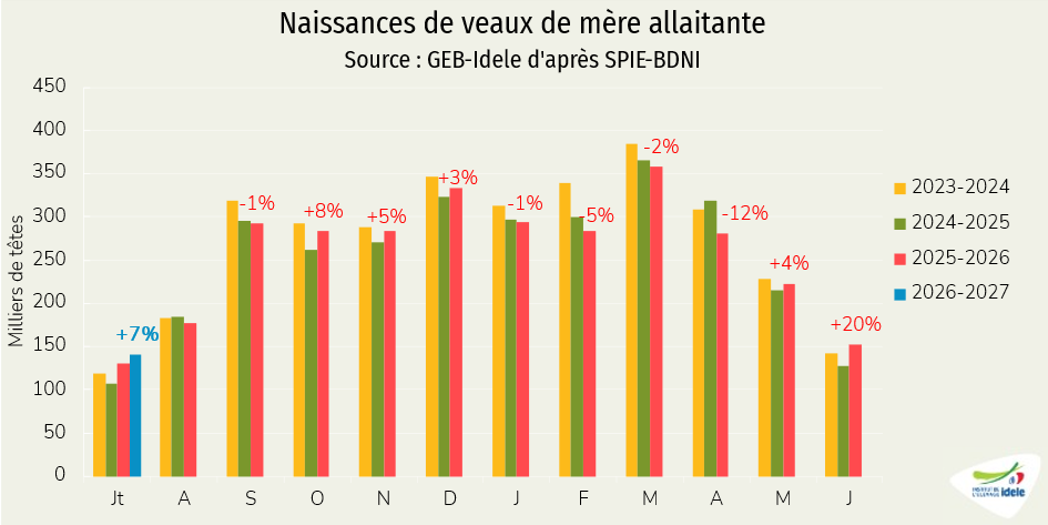 Naissances de veaux de mère allaitante