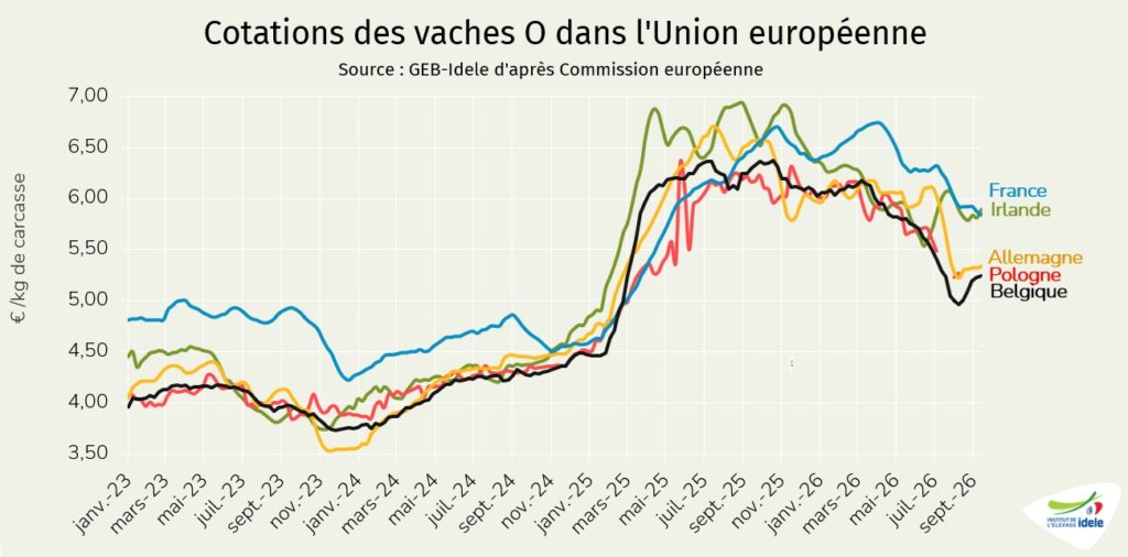 Prix-des-vaches-O-en-Union-Europeenne