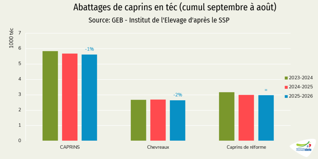 Abattages de caprins en volume