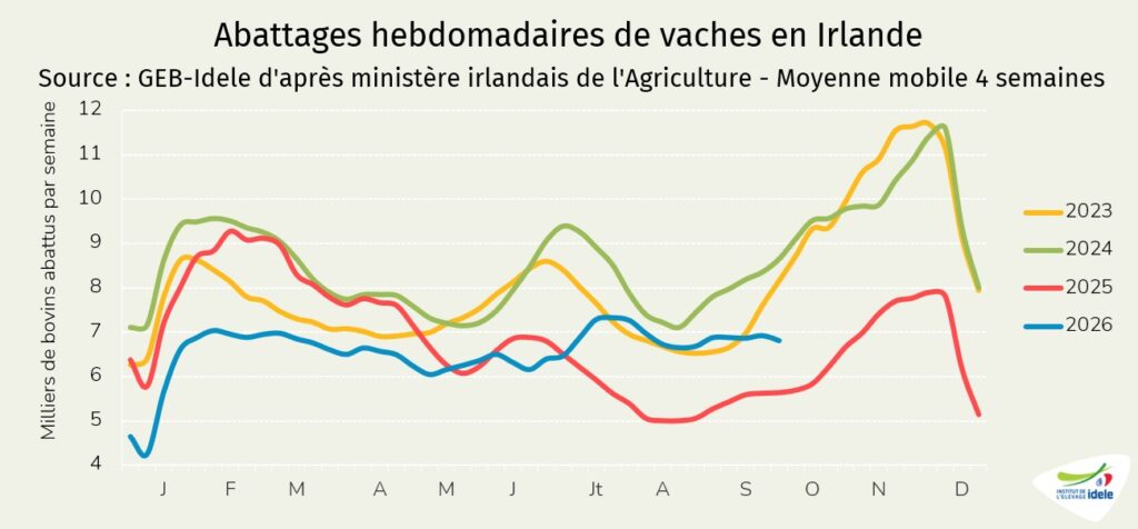 Abattages de vaches Irlande jusqu en s40 de 2026