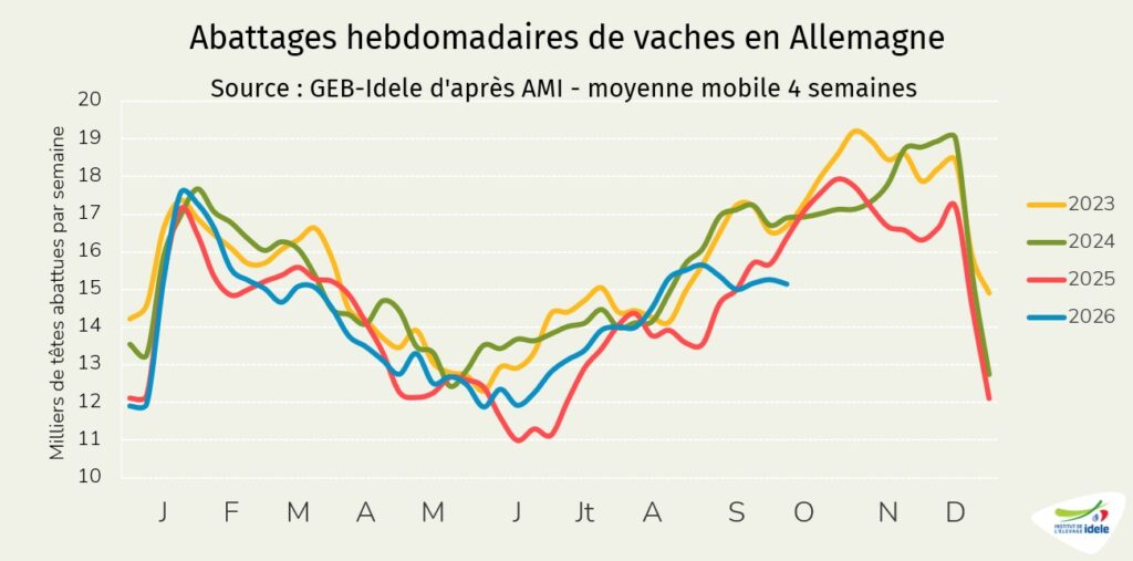 Abattages de vaches en Allemagne en s41 en 2026