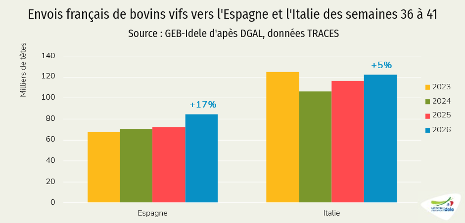 Envois français de bovins vifs vers l'Espagne et l'Italie des semaines 36 à 41