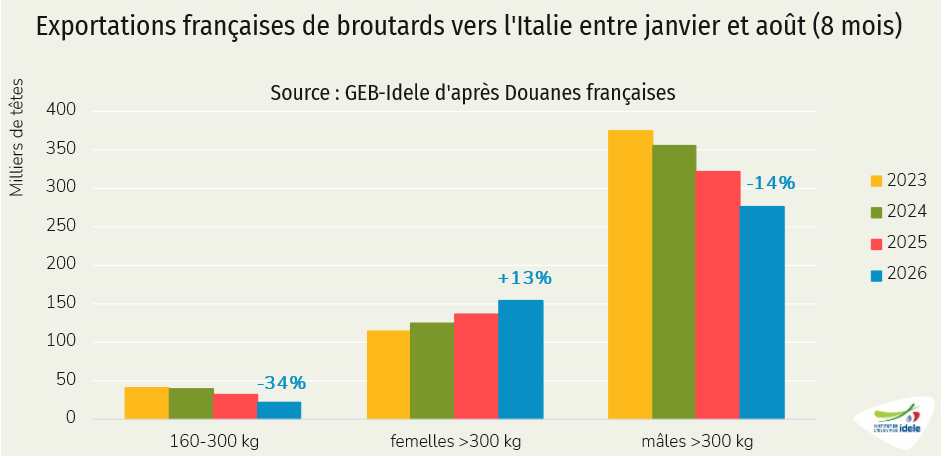 Exportations françaises de broutards vers l'Italie entre janvier et août (8 mois)