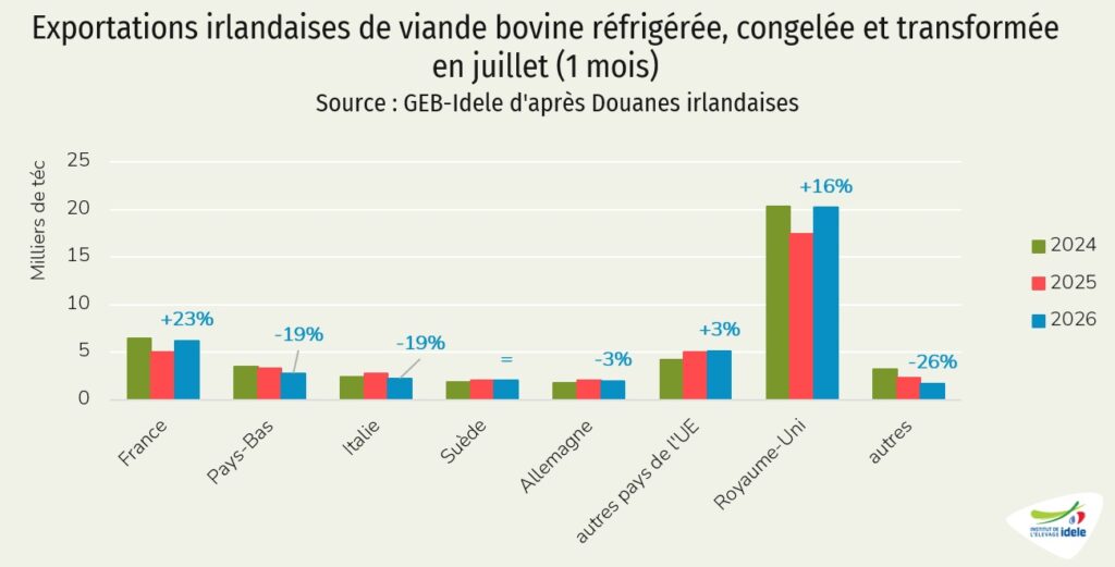 Exportations irlandaises de viande bovine en juillet 2026