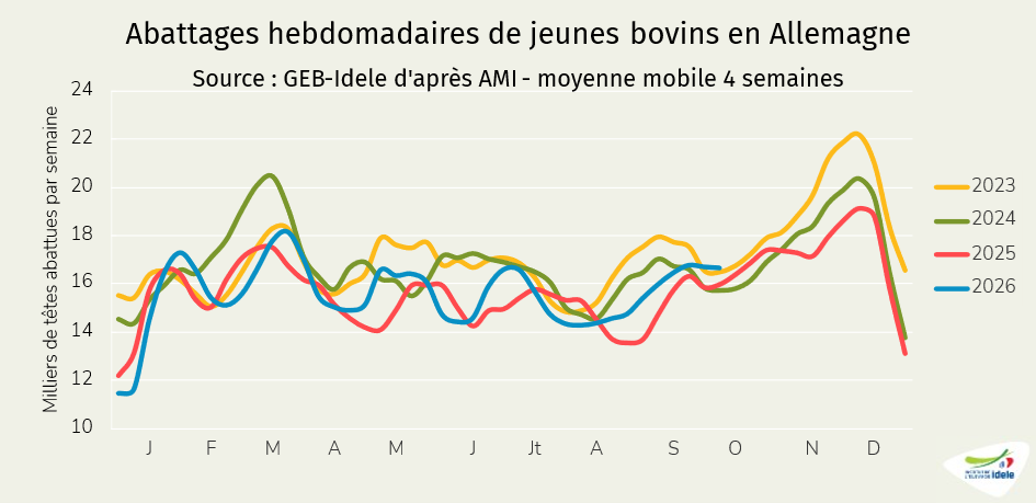 abattages hebdomadaires de jeunes bovins en Allemagne